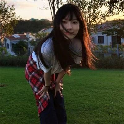 情网 海报